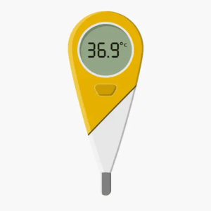 Medical Thermometer